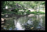 Viena -iunie-2011 - Bogdan Balaban